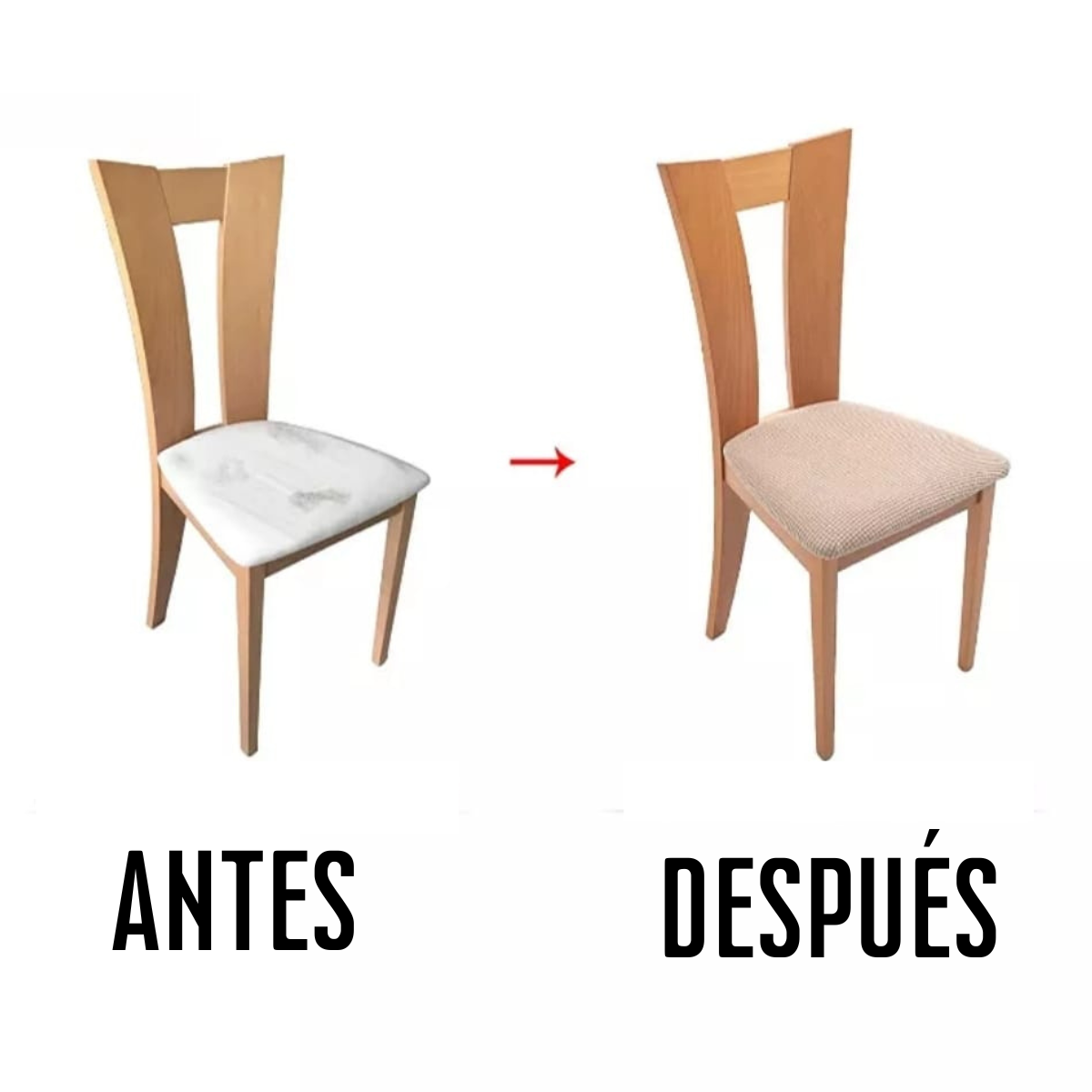 Fundas de Asiento